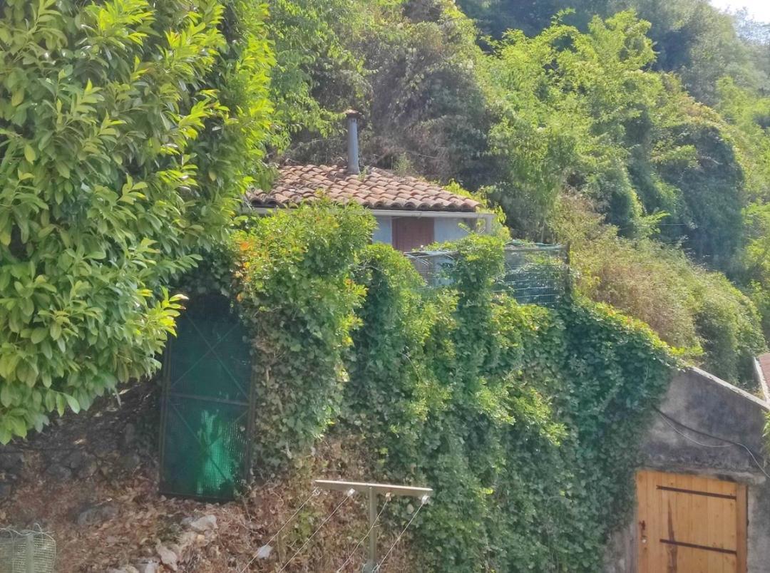 Hebergements Entiers Two Homes T1 Bas Or T1 Haut -Aux Terrasses Du Pech Foix Exterior photo