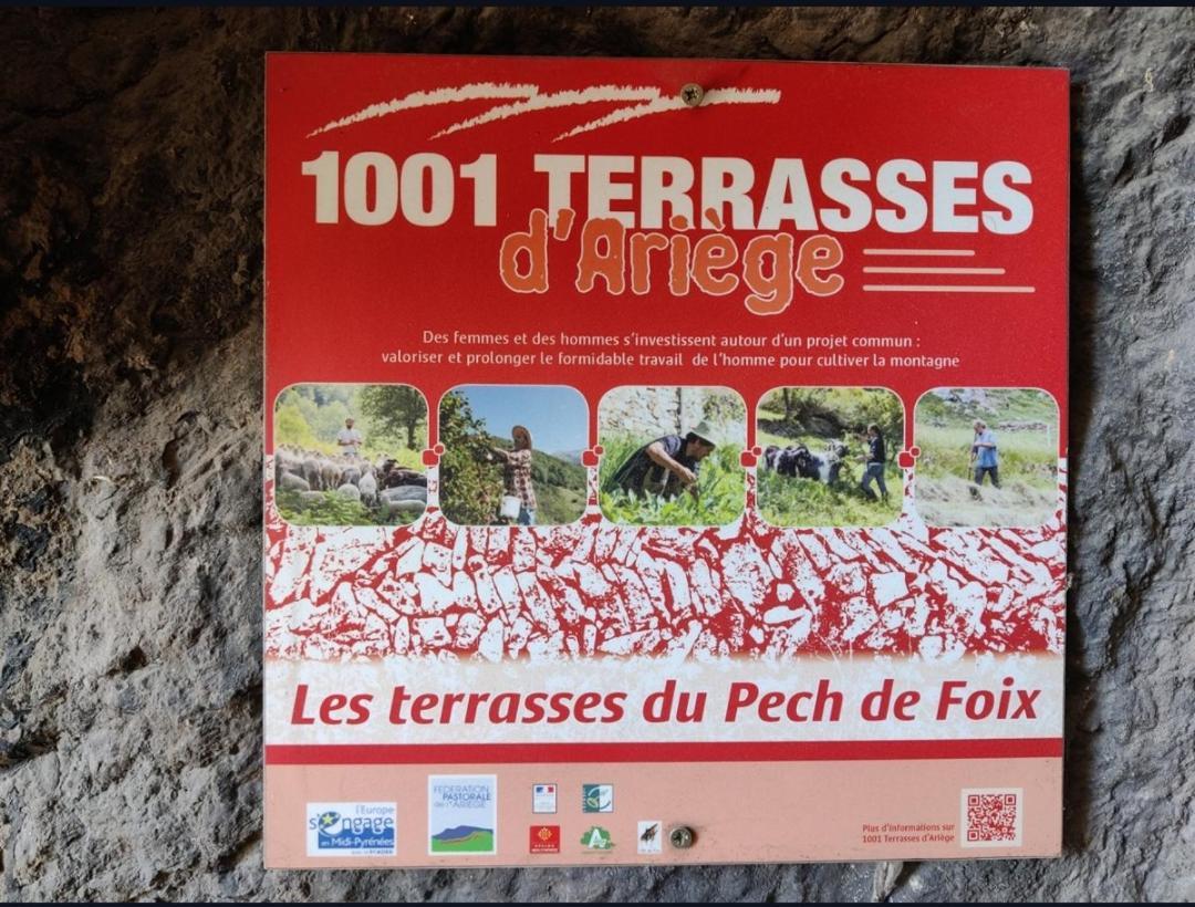 Hebergements Entiers Two Homes T1 Bas Or T1 Haut -Aux Terrasses Du Pech Foix Exterior photo